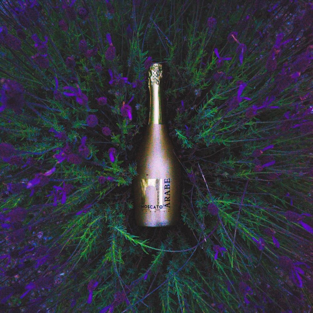 Sábado noche. Necesitas algo más?
.
.
.
.
#MuchoQueHacerteSentir #CalidadExtremeña #Quotes #TradicionExtremeña #bodegasSani #Vino 
#VinoTinto #picoftheday