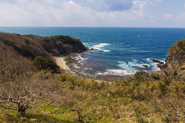 vonderrusch tweet media