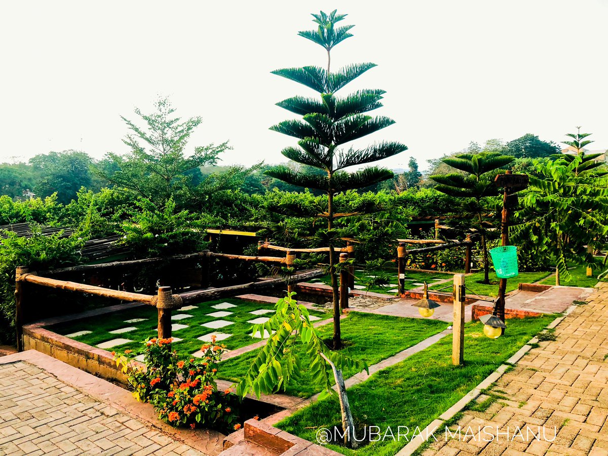Mubarak_Maishan's tweet photo. Life happens fast. Keep your camera turned on and with you at all times in case you stumble upon a good subject to photograph. Capture the moment as it happens because it will not wait for you.
Location: Central Park, Abuja.
#iphoneXCamera 🌱🌴🌲🌿🍃 https://t.co/wZhL7Zk75l