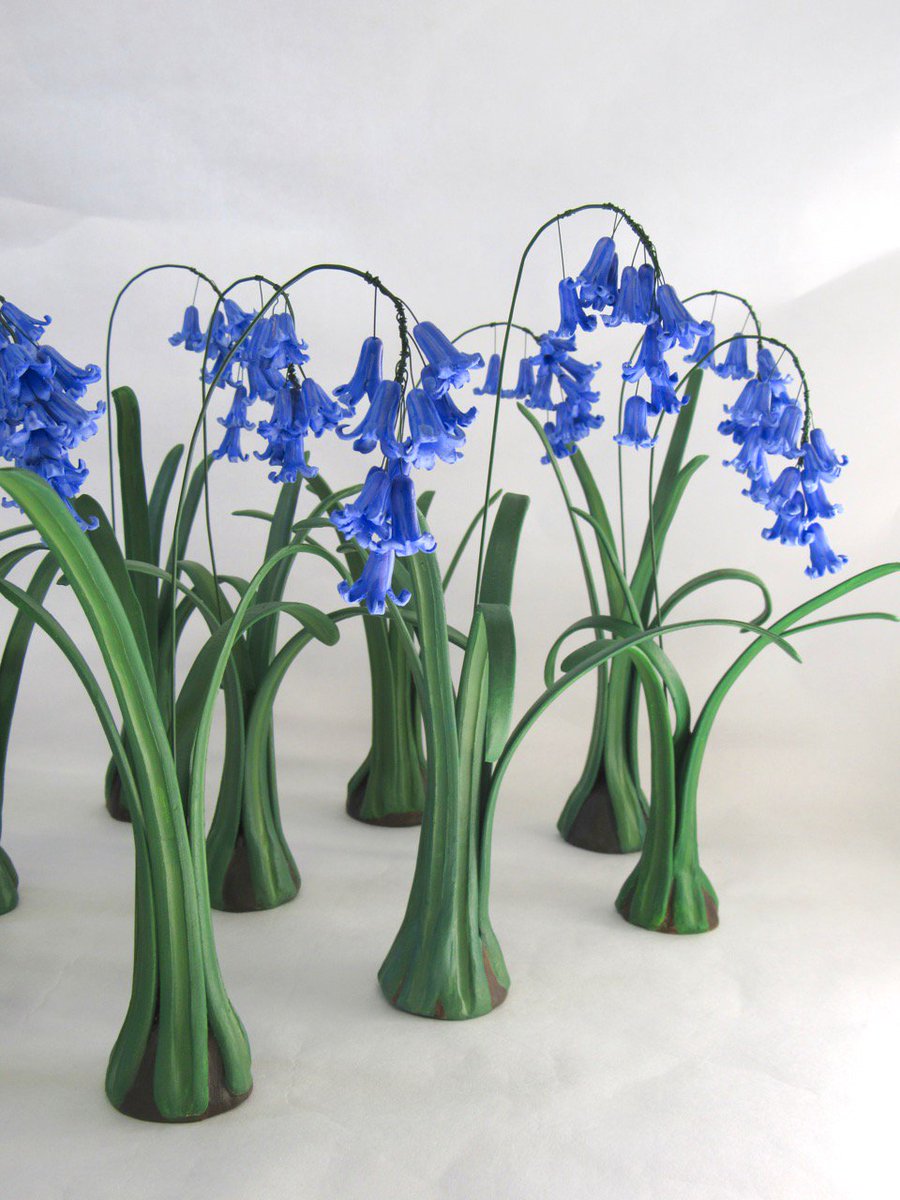alieproctor's tweet photo. I'm very pleased to be part of @nationaltrust exhibition 'Awakening' at #leithhillplace 3rd May - 30th June, showing a drift of ceramic bluebells.
https://t.co/nR7INaHOhR https://t.co/ZgFQyXHpDS