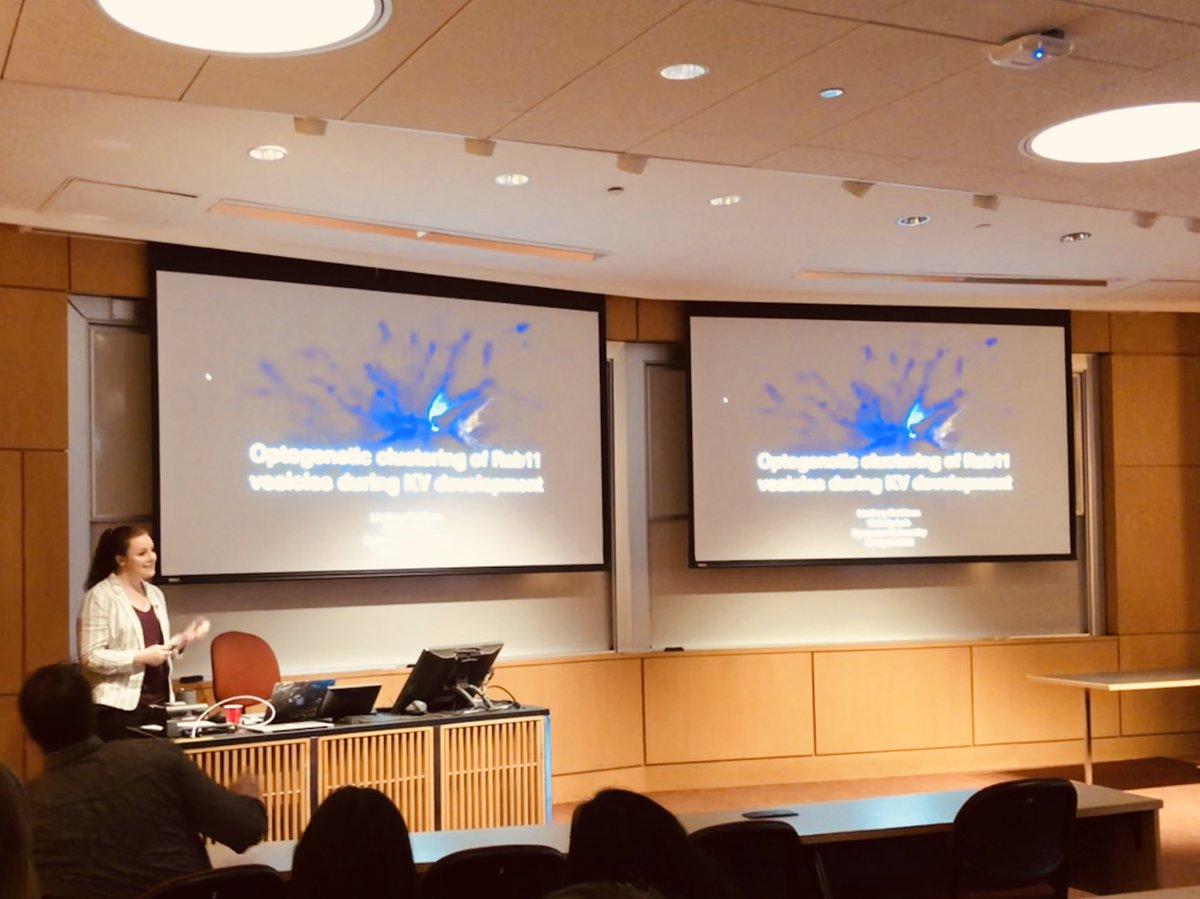 LovelessRadio's tweet photo. The Hehnly Lab’s 3rd CNY #Zebrafish meeting @SyracuseU  and @Lindsay_Rathbun is doing a great job discussing #Rab11 #optogenetics during KV development https://t.co/Xe1XkcZgLy