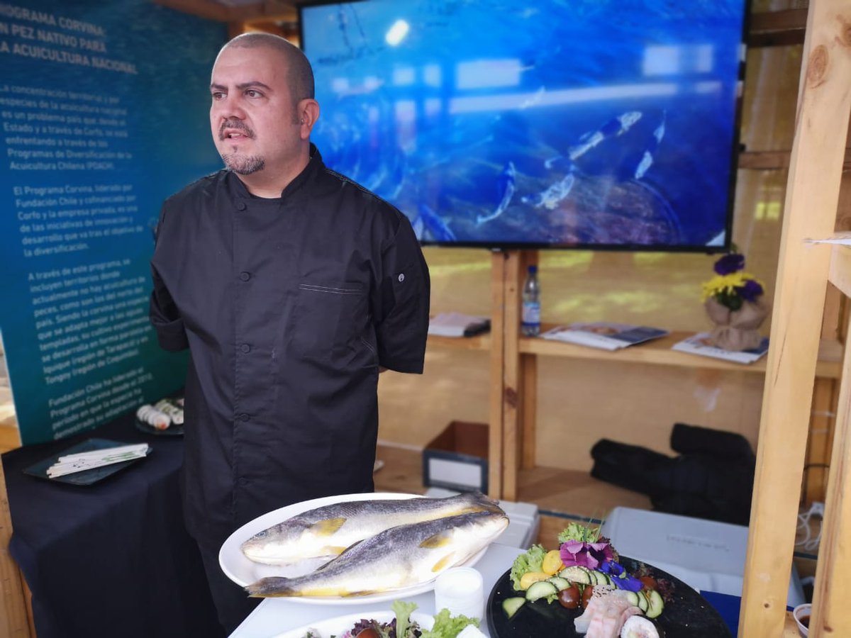 fundacionchile's tweet photo. Nos encontramos en la feria "Yo Como Pescado 2019", en el Parque Araucano, junto a nuestro #ProgramaCorvina, iniciativa de innovación y desarrollo de diversificación de esta especie. ¡Te esperamos en el stand N°5 para desgutar unos ricos 🐟! #AComerPescado https://t.co/Z8eJaFDDKw