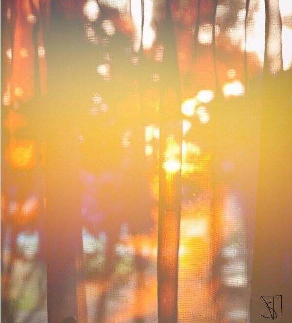 artelle22's tweet photo. Gegenlicht 6 https://t.co/tJnijJCMGC