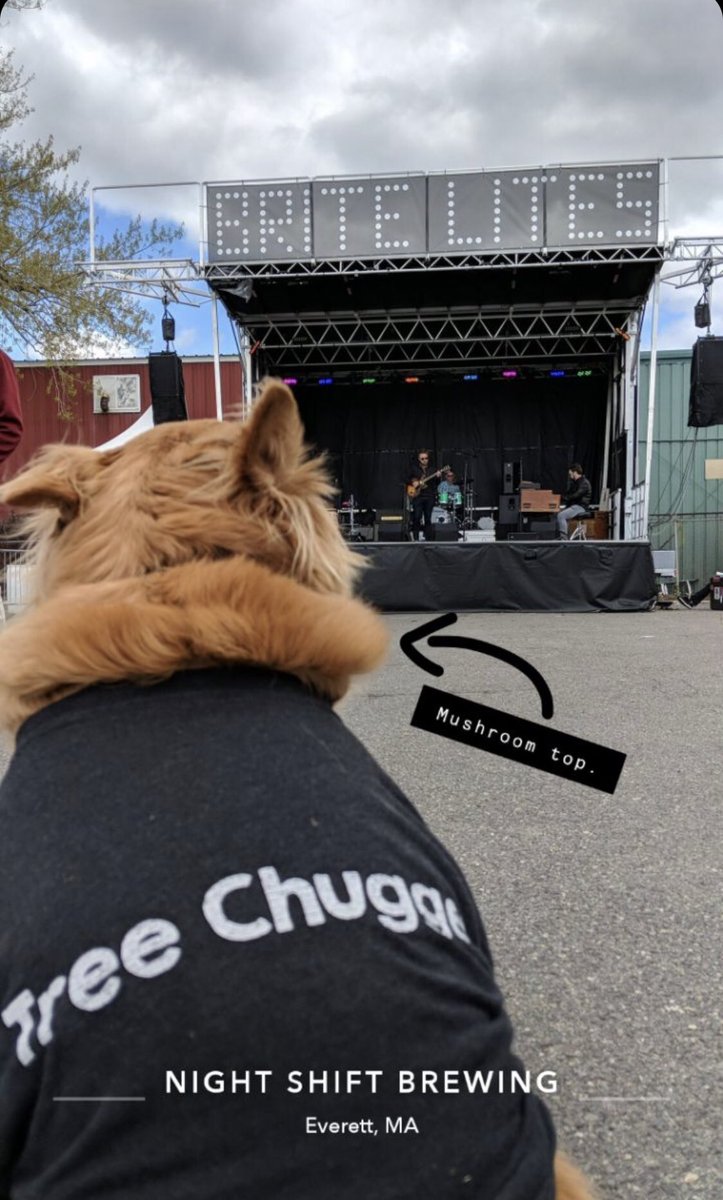 drink_simple's tweet photo. Music. Beers. Maple Water. Night Shift Bright Lites Festival happening now. #treechugger https://t.co/yTIVRNEPY4