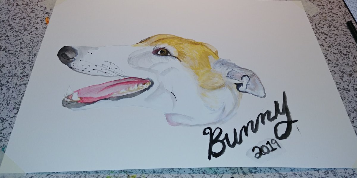 MeepandFriends's tweet photo. @notjulen Zoomies are always so wholesome. I'm happy for you Bunny. Also I made this for you. https://t.co/MfrC217ARb
