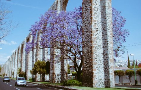 Samadhí Ramé🌻 tweet media