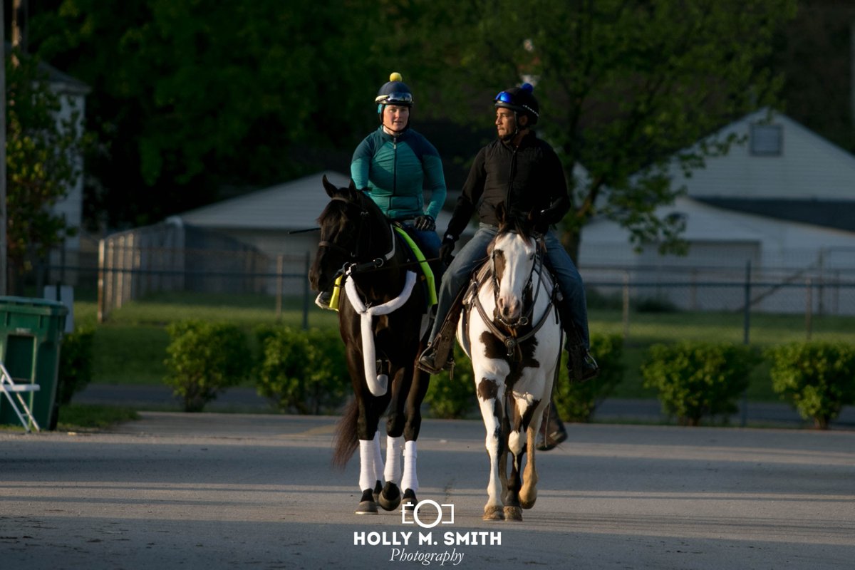 kyholmarie's tweet photo. Win Win Win heading to the track this morning at 7:30 #datlight https://t.co/Abv6Bftg3S