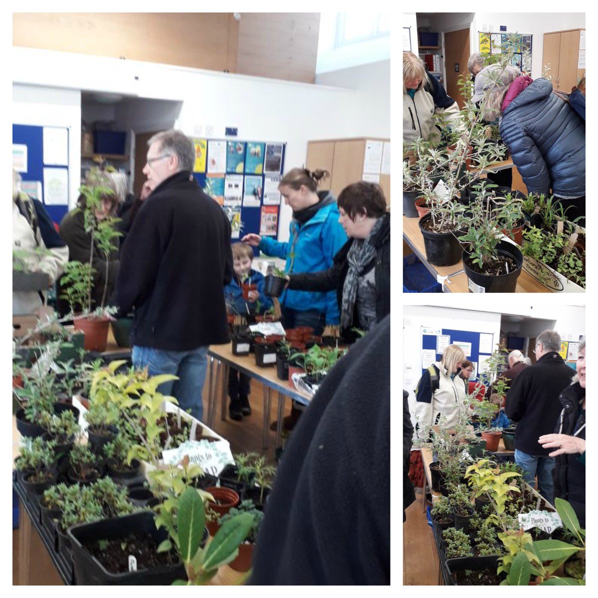 bampton_larcs's tweet photo. Lovely planty morning with #Bampton gardeners! Thank you to everyone who came along with plants to swap or willing to buy. Enjoy your new plants! @TivLibDevon @peoplesbiz https://t.co/QKdfn6etHf