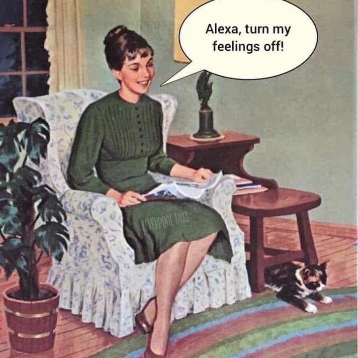 mikesdailypost's tweet photo. #Google #Alexa #MK * https://t.co/ykzShbXZys https://t.co/aEeHJgiOQs
