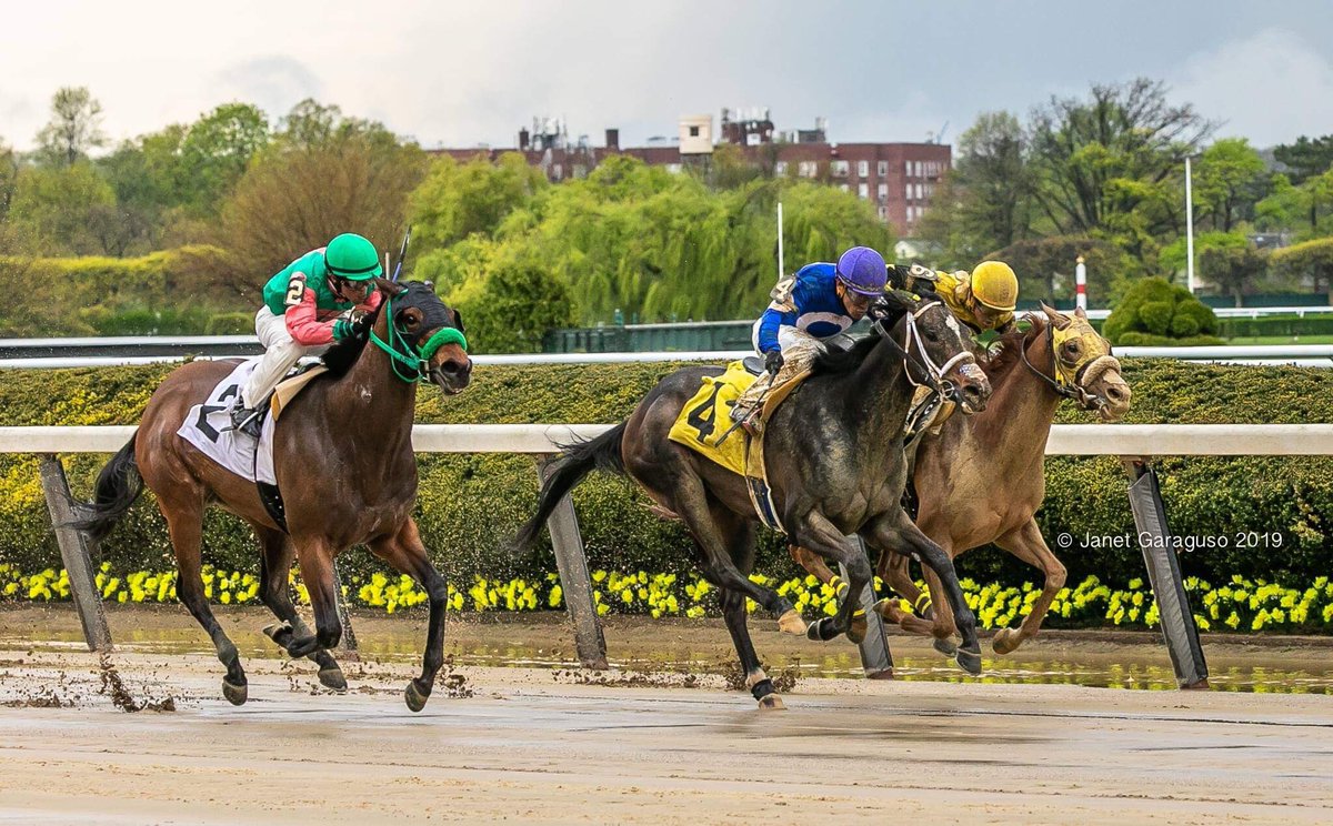 ladererstables's tweet photo. @jmg27_janet Queendon @Ericcancel18 https://t.co/waYdgPn11t