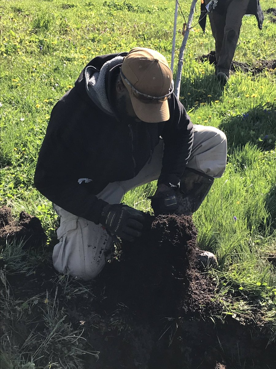 DaveLowery421's tweet photo. Great day to plant trees with @HFandG and the #ClevelandTreeCoalition in @slavicvillage.  #ArborDayCLE #CLEtrees https://t.co/0dRoyqt1DI