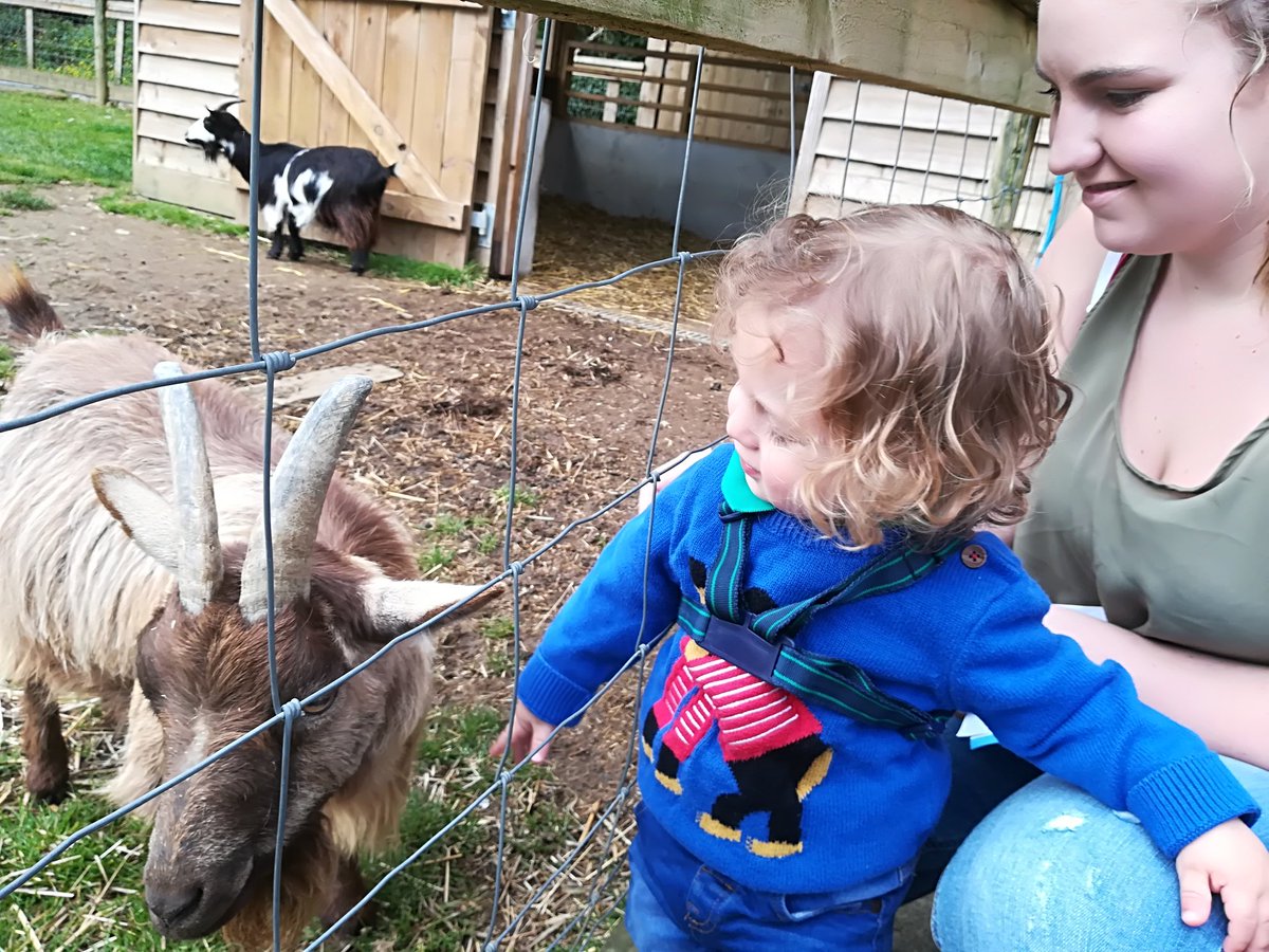 PerranporthInfo's tweet photo. Have you visited Healeys Cornish Cyder Farm?
It's free entry and family friendly, with lots of animals to see during your visit. 🐖🦚🐏
Why not pop into the jam kitchen and try the homemade jams?
Of course Healeys is most famous for its #Rattler!🍻 https://t.co/28NP14EJWD
