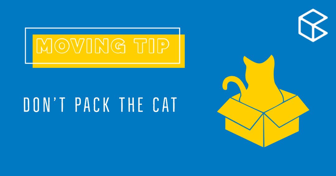 Moving #Tip Don’t Pack the #Cat
 #atx #austin #movers #bestmovers
conveyancemoving.com