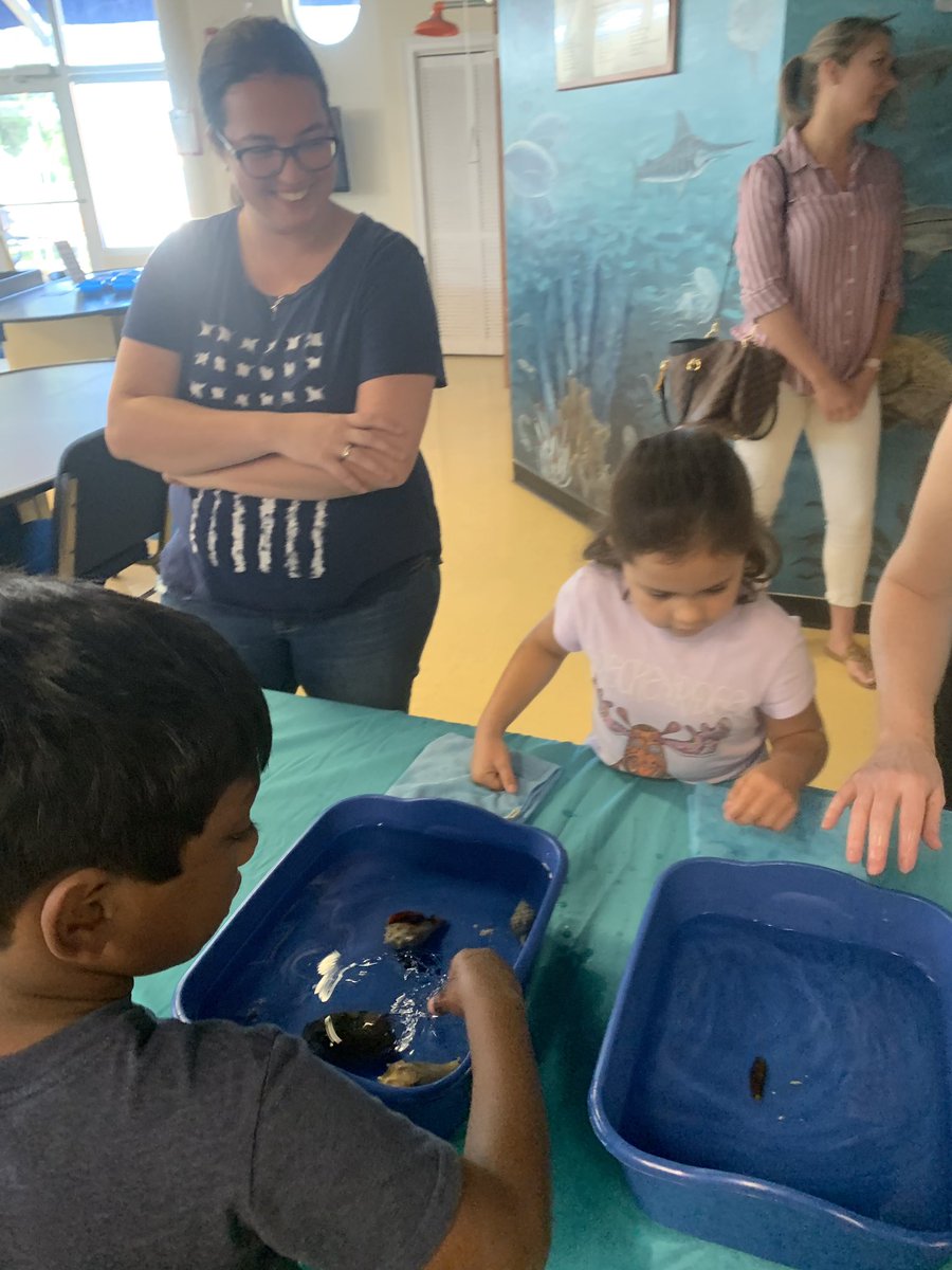 CSFmarine's tweet photo. Csf marine studies celebrates Canterbury’s 50th anniversary the best way we know how; learning about the ocean and creatures that live in it! Thanks to all our amazing volunteers who helped out all day! #csfmarinestudies #happy50th #community #theresnoplacelikecanterbury #gocsf https://t.co/tNtIJhLUVL