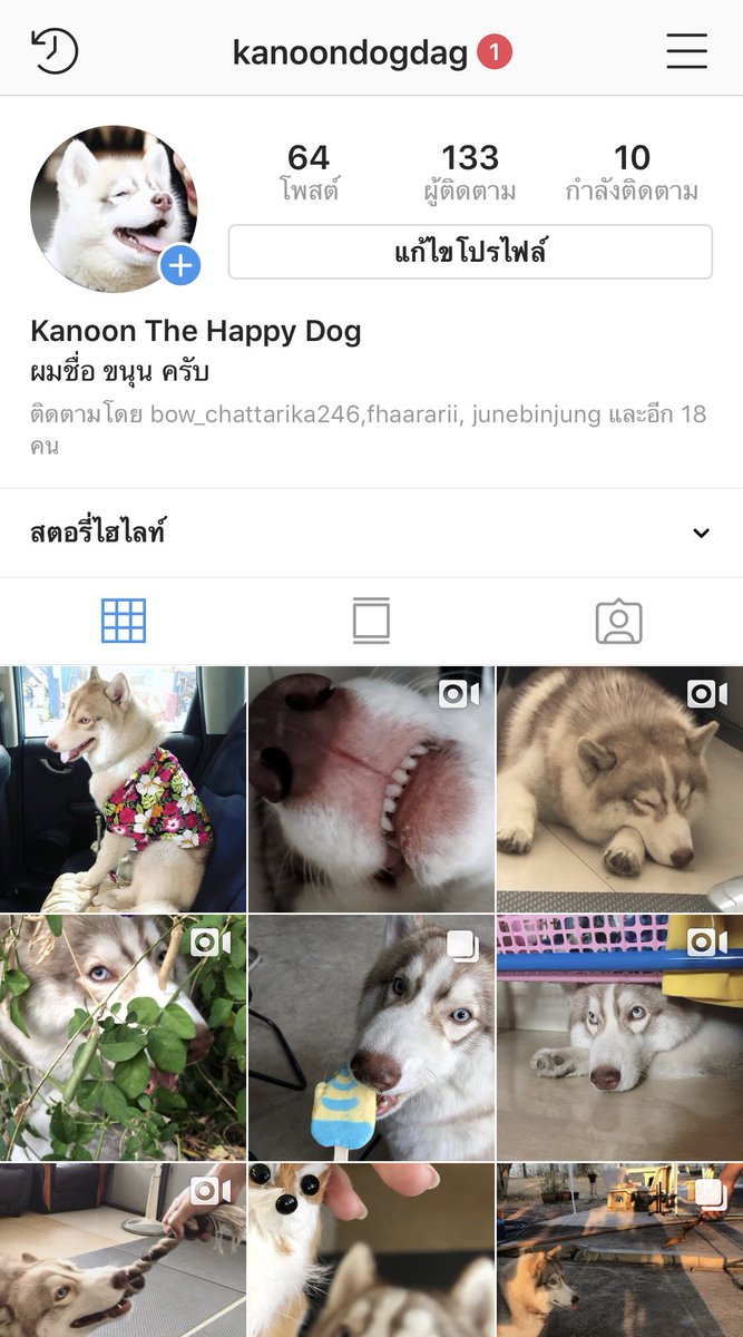 MKingkarn's tweet photo. ไหนๆก็ไหนๆงั้นขอฝากเด็กชายขนุนด๊อกแด๊กไว้ในอ้อมอกอ้อมใจด้วยนะคะ #ขนุนด๊อกแด๊ก https://t.co/nDk85pNE18