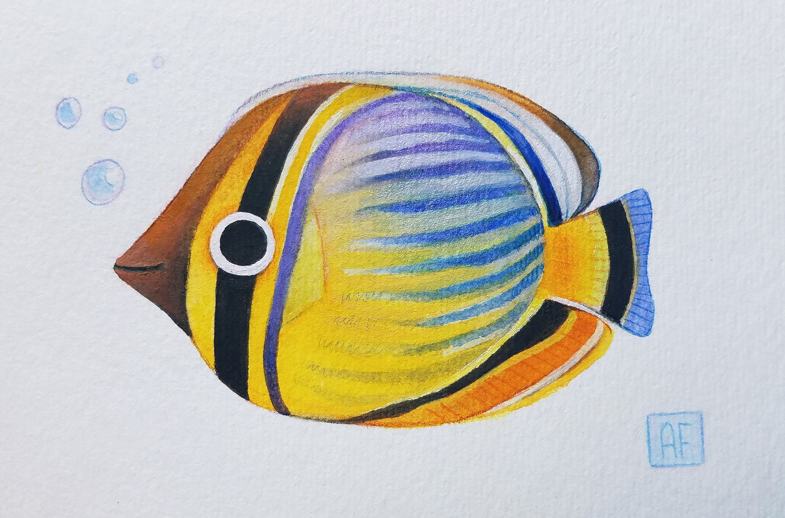 Matthew Allen マシューアレン Watercolor Azure Fish（Matthew