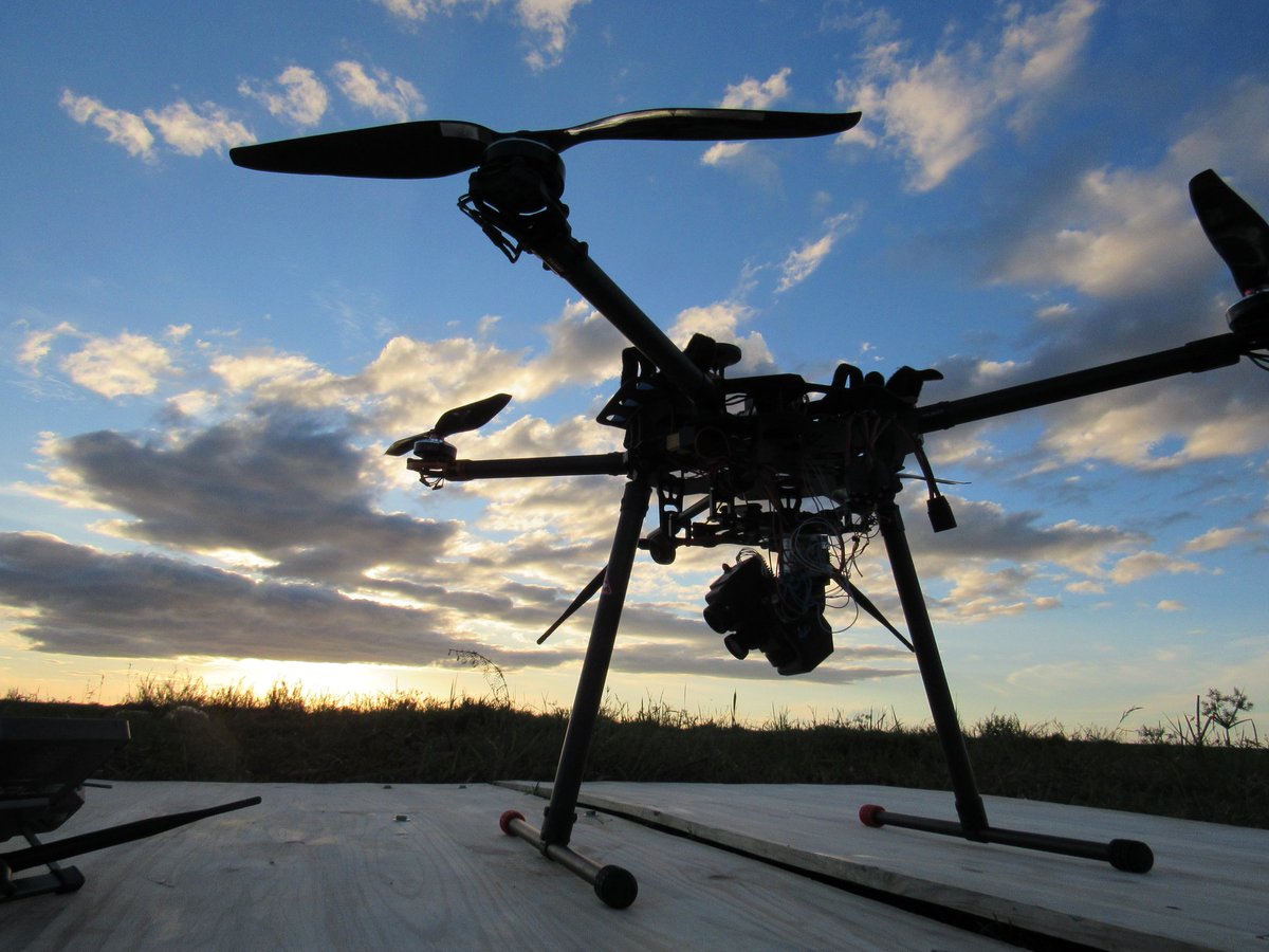 CBurkeSci's tweet photo. Bandro lemurs are like fuzzy teddy bears, Lac Aloatra marsh is stunning and the astro-ecology team is working very hard #DronesForGood
 @LJMUdrones @OwenMcAree @drjoshvm @LJMU https://t.co/zFy2Hg8pTU