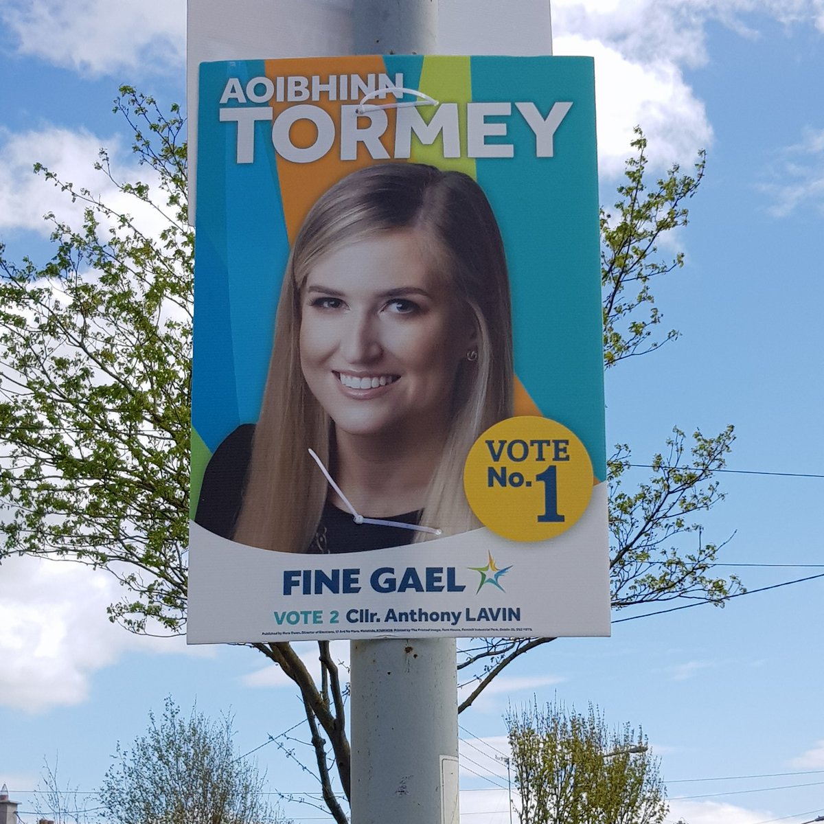 We're really proud to see posters for two of our branch members hanging up around the constituency. 

@jeff_johnston_ is running in the Clontarf ward and @AoibhinnTormey is running in the Howth-Malahide ward. 

Two great candidates with a lot to offer!