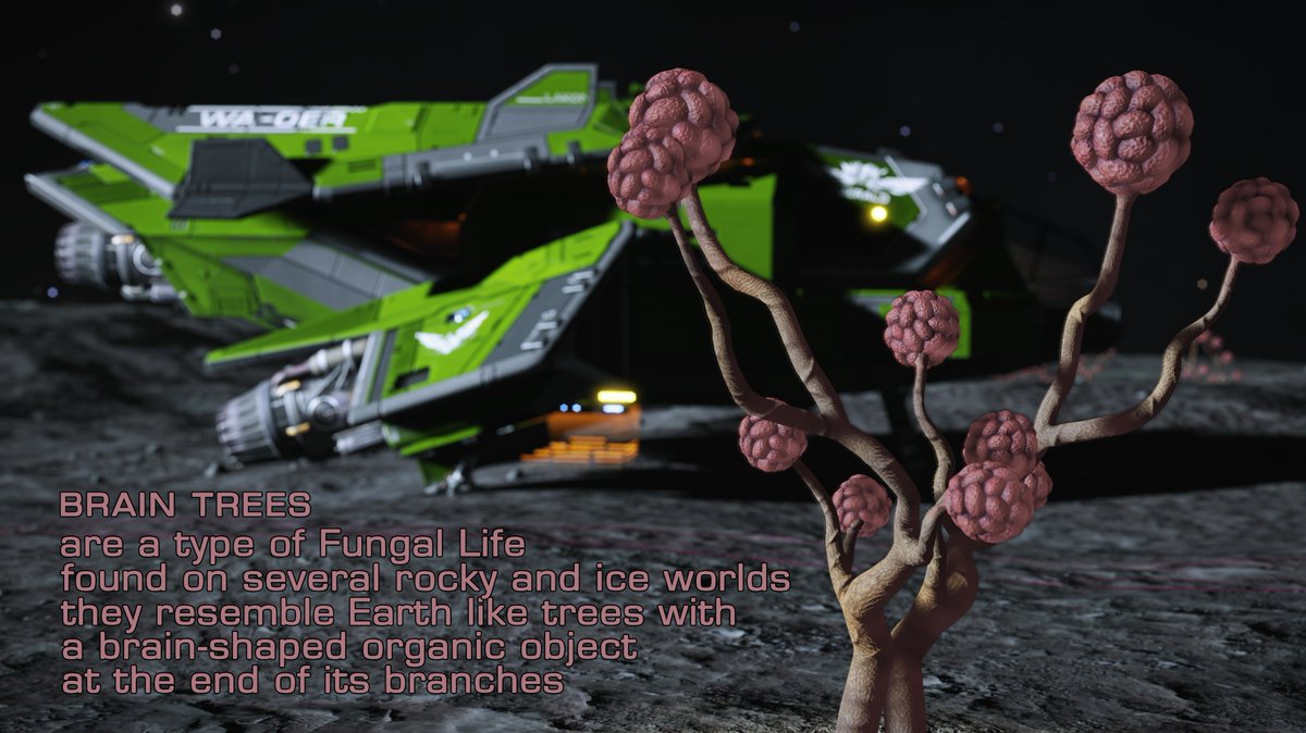 cmdWastedInside's tweet photo. Feed your brain #BrainTrees #EliteDangerous #Space https://t.co/mvVAndaYfw