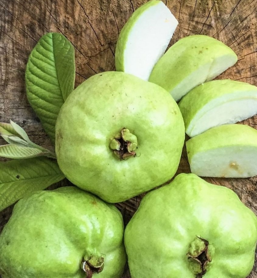 Makan Jambu tengah malam...
Karena Bahagiah....🤔
#SelfiKonserSosmedLIDA2019
@LIDA_SELFI07