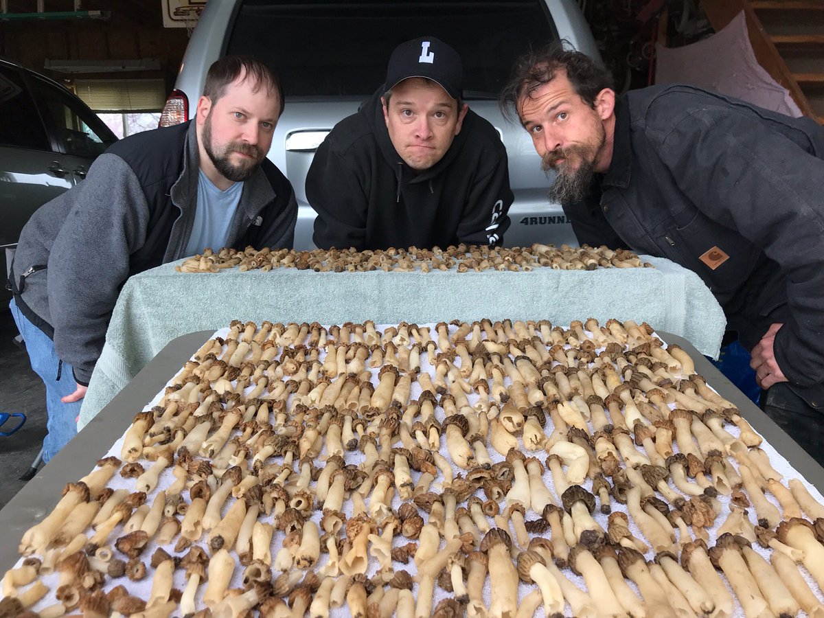 Decent haul today :)