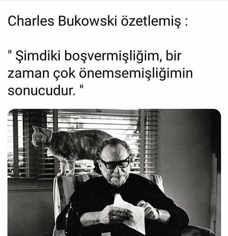 #SevgilimYokÇünkü herkes diğer yarısını arıyor kimse kendine sormuyor acaba ben bir bütünün parçasımıyım diye.