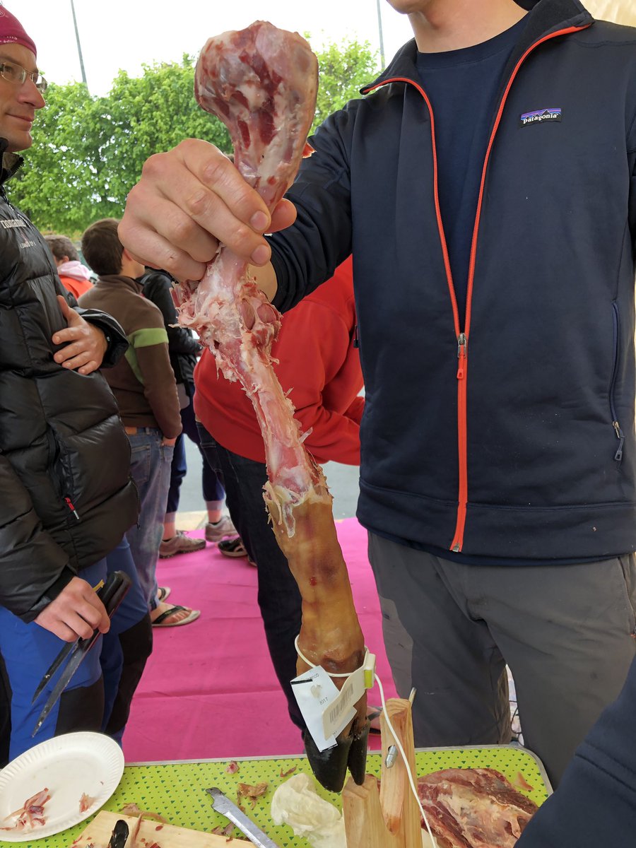 solenne rezvoy tweet media