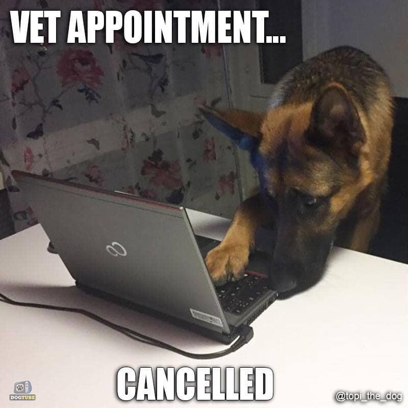 BackOnTrackVet's tweet photo. Have you downloaded PetDesk app yet? You can book appointments online and earn loyalty points! https://t.co/5peR6sK8y3