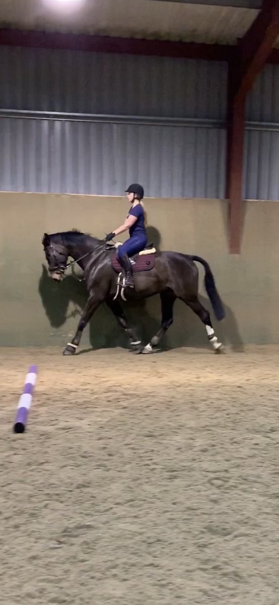 Love this #horse 

<a href="/equissimo/">Equissimo</a> @RowenBarbary <a href="/HorseBloggers_/">#HorseBloggers</a> @HorseChatHour <a href="/aponyhour/">#ponyhour</a> <a href="/riderhour/">#RiderHour</a>