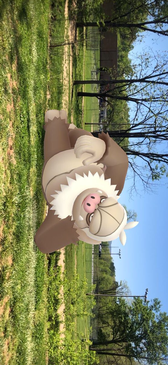 SarahBenarah's tweet photo. #GOsnapshot #HabitatChallenge https://t.co/4136Tzfo1W
