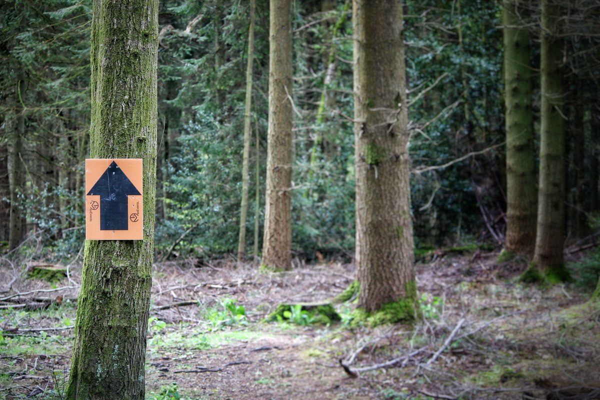 Tomorrow morning warriors! Into the woods you go!