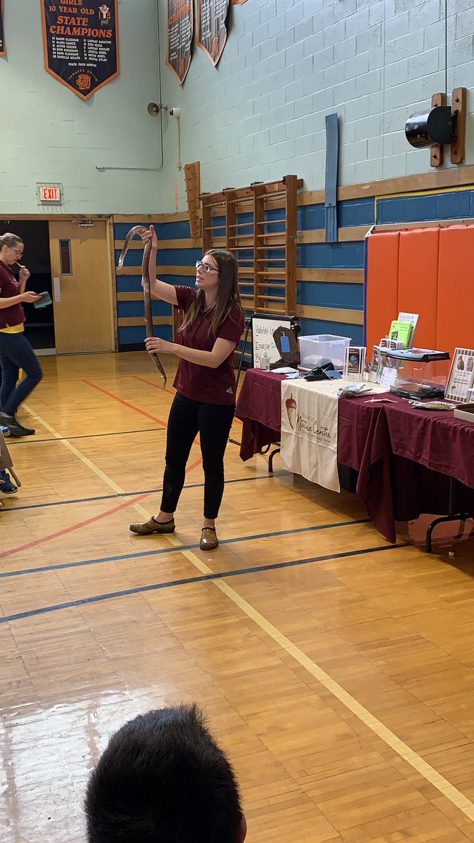 earthfair_nv's tweet photo. @TenaflyNature and the Endangered NJ show with Ellie the Corn Snake! https://t.co/coRuSA4F5H