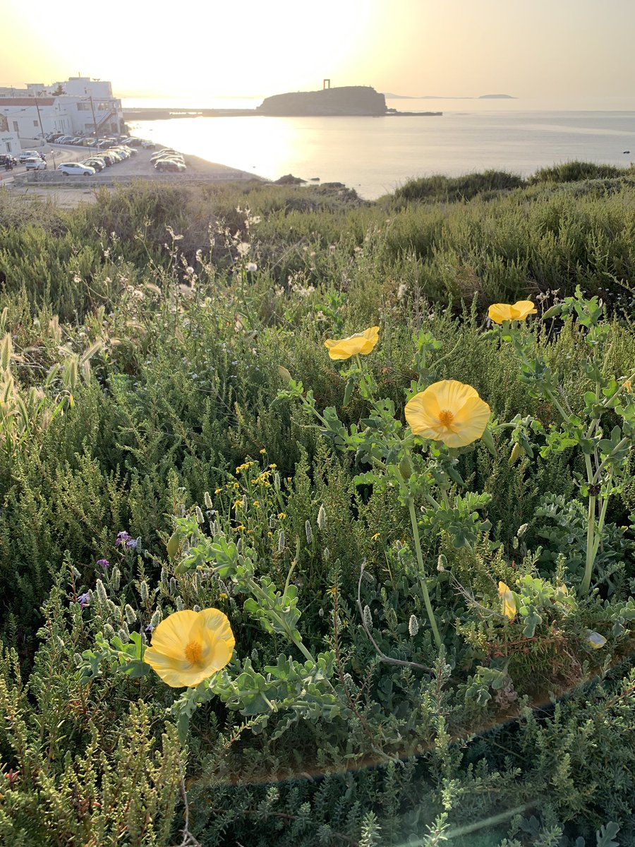 Jason Prziborowski (@jasonpriz) on Twitter photo 