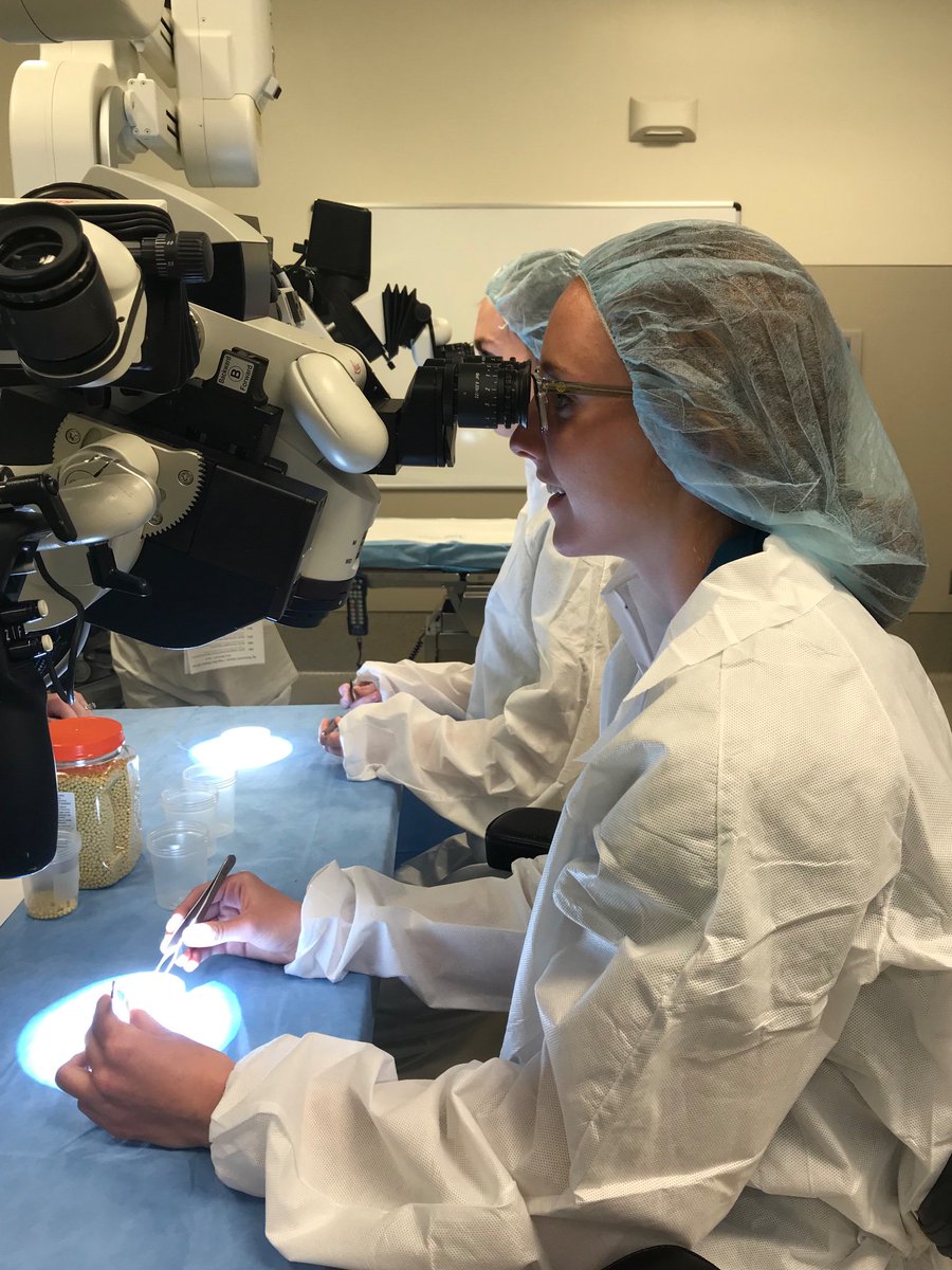 CAPS Medicine tweet media