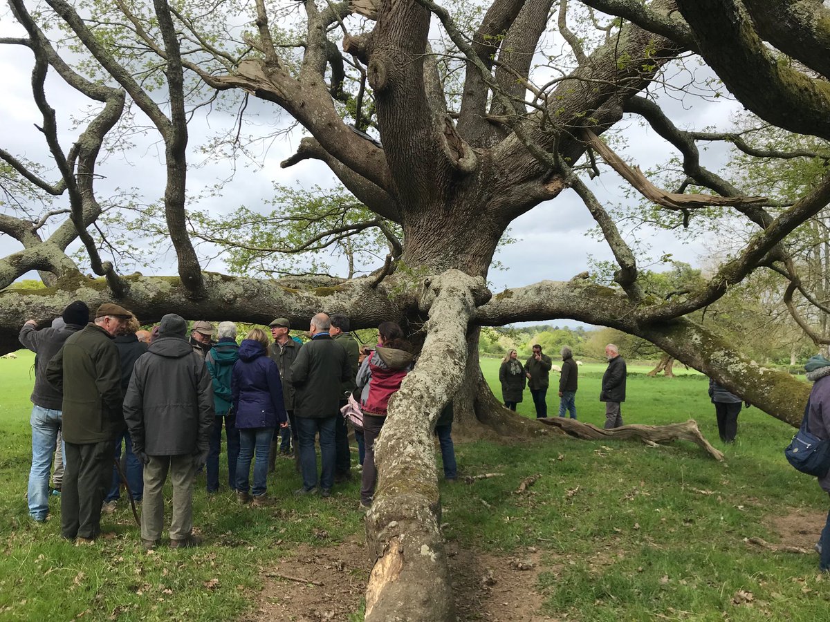 Wadhurst Culture tweet media