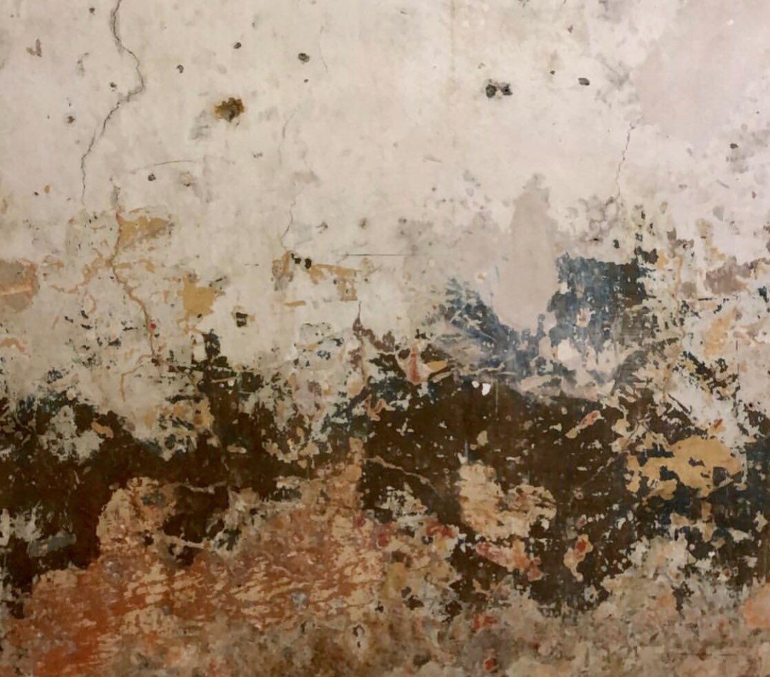 lilcoitykitchen's tweet photo. An old plaster wall with 1640βs paint π¨ I literally LOVE this π I would love my walls to look like this #texture #oldpaint #history #probablytoxic #possiblyplantbased #whoknows https://t.co/AjZcNOQUb2