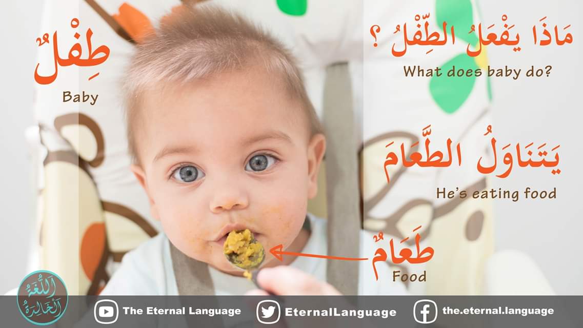 webcavallbernat's tweet photo. Què fa el nen?
ماذا يعفلُ الطفل؟
الطفلُ el nen
El nen menja. 
يتناولُ الطعامَ https://t.co/0JCYkSsiOM https://t.co/18tdPvgI4P