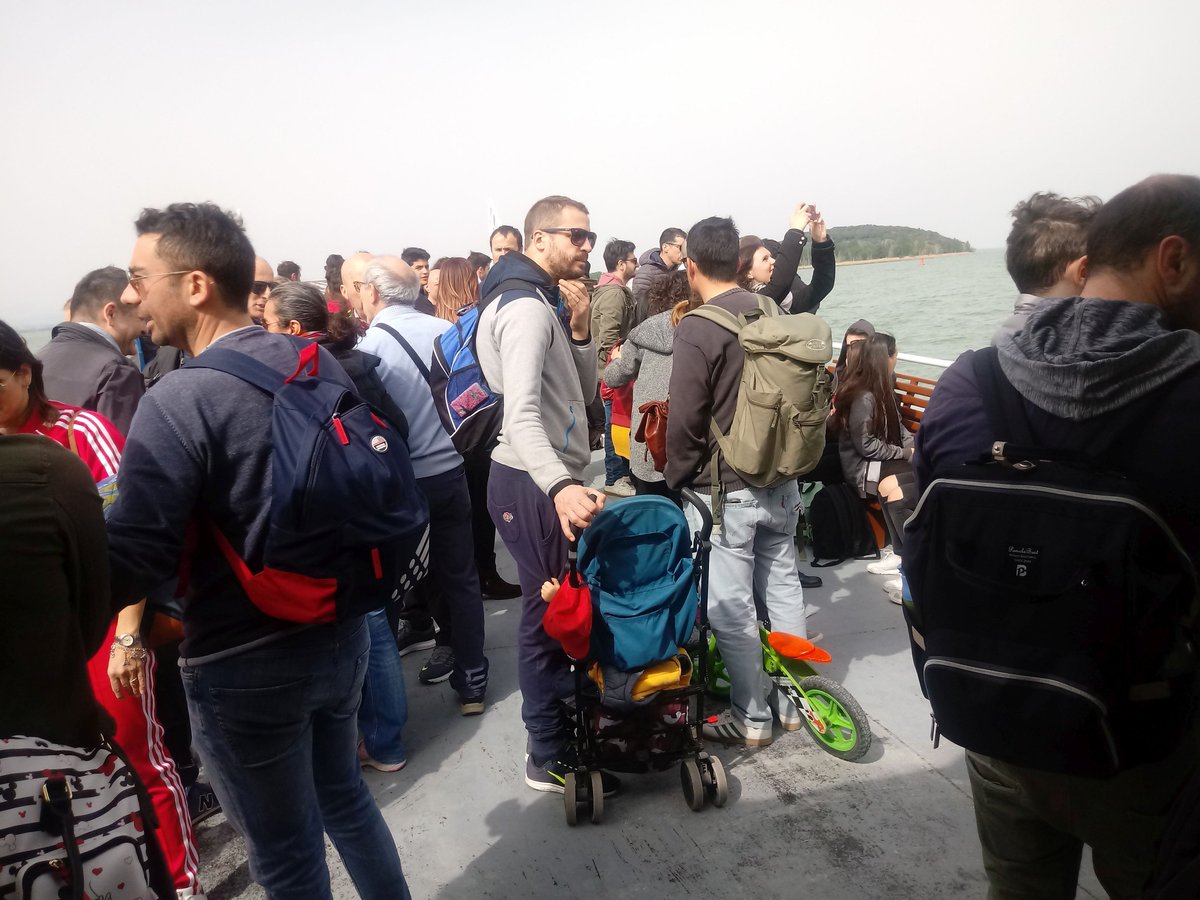 Isola Polvese tweet media