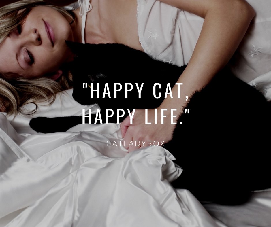 😸 = The recipe for happiness!⠀
#catladybox #happycathappylife