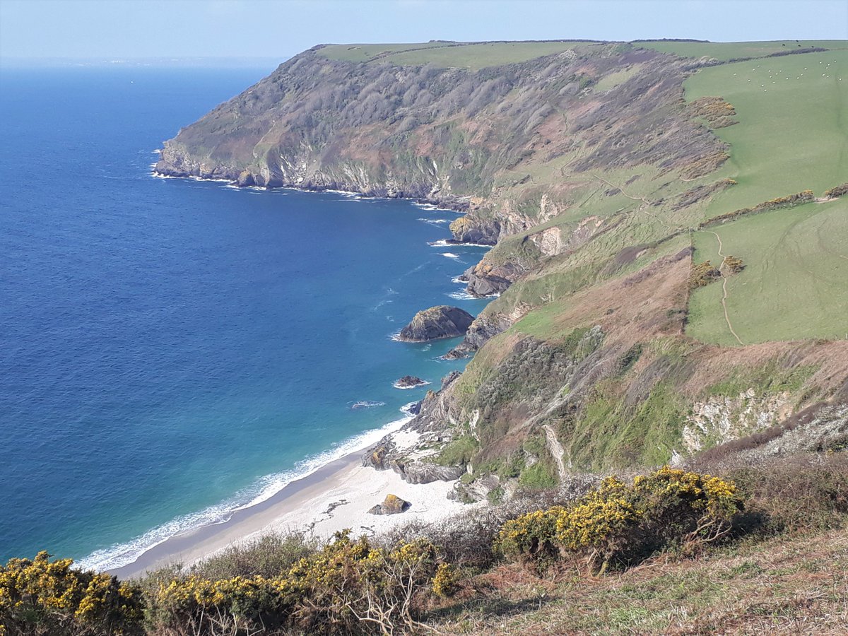 BevHunt72's tweet photo. So tomorrow is #Walk25 of 50 for @HumanimalTrust #OneMedicine..1/2 way through my 2 year challenge ..looking back today on Walks 20-24 #WhitsandBay to #Polruan... follow me & follow my journey... @beauty_cornwall @Cornwalloncam @CornwallLive https://t.co/dxBulGmP08 β¦ β¦ β¦ β¦ β¦ https://t.co/46cp30dk4g