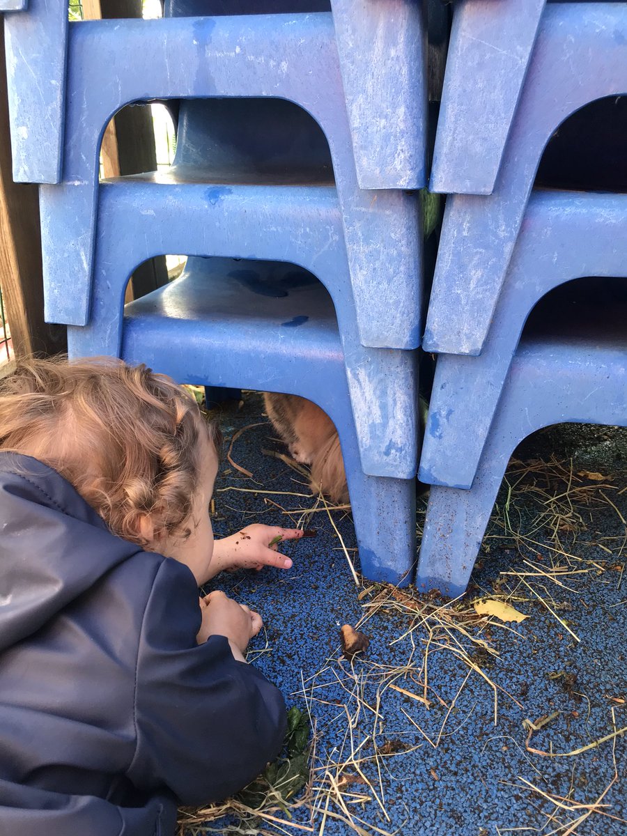 TOOGOODCHRYSTEL's tweet photo. Après les poules ,c’est Cookie le lapin qui nous a rendu visite à la crèche LPCR du Bourget Du Lac ..des enfants heureux #focusnature @Creches_LPCR  #bonheur #sourire https://t.co/cppJPENd2J