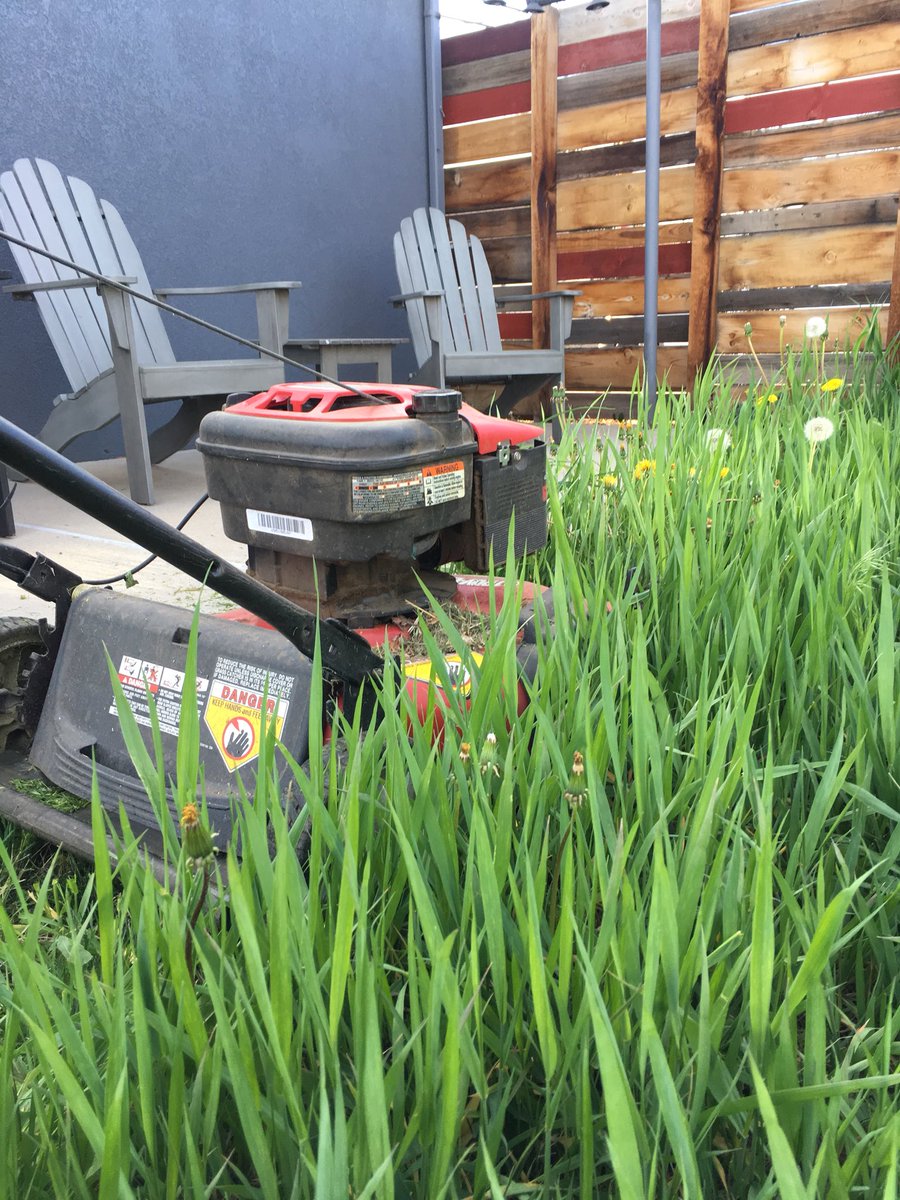 I guess this means it was time to mow my lawn. #HomeownerLife