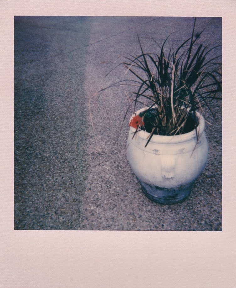 jam_esc's tweet photo. Ice Cream for I scream with @polaroidorignls Ice Cream Pastels. mmmmm ice cream... shot with the #ImpulseSE for @PolaroidWeek just posting a day late and about $80 short. https://t.co/gBJkFEnQ2N