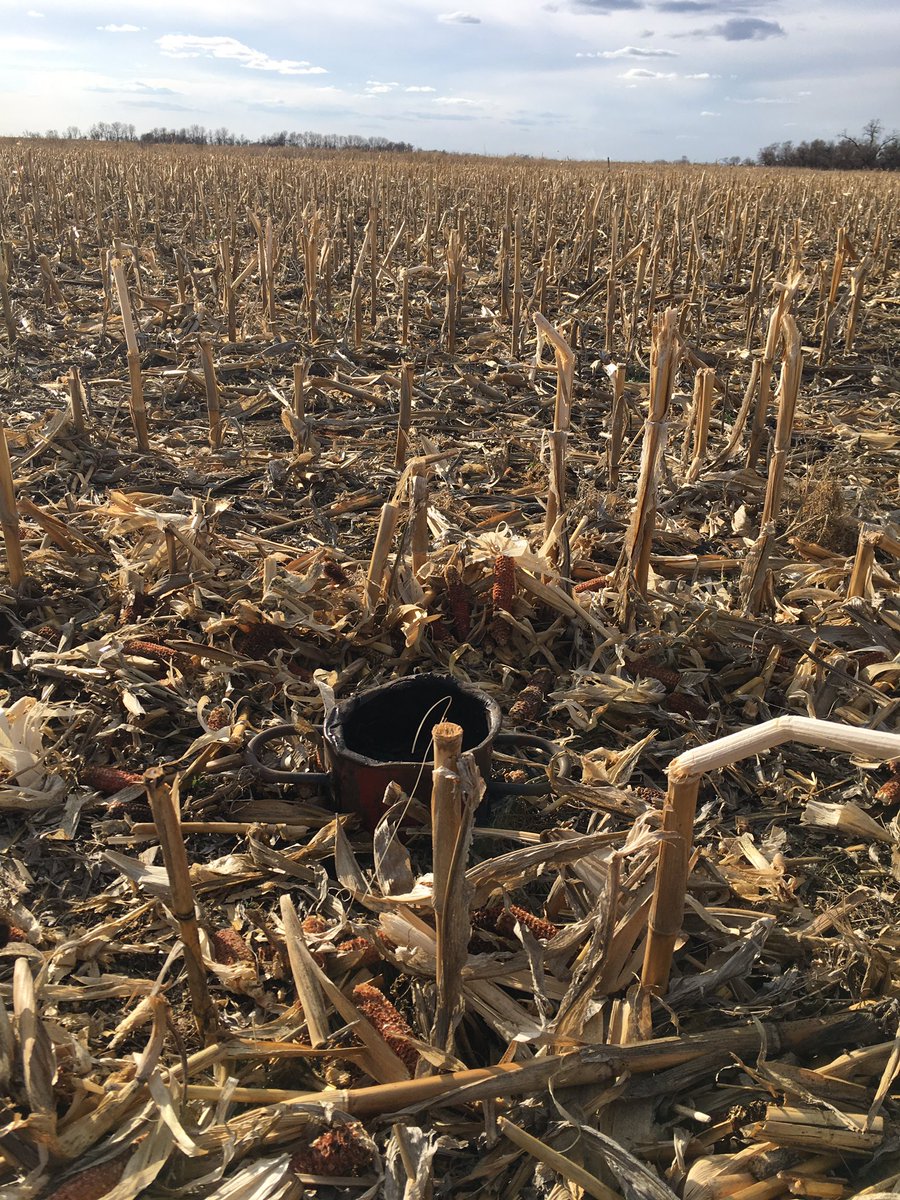 BurnerCrop's tweet photo. Some interesting Infiltration tests done last week.

Corn/vetch 
1 in - 2 min
2 in - 22 min

Full season cover
1 in - 5 min
2 in - 35 min

Perennial relay crop
1 in - 10 min
2 in - 38 min

Control (tilled canola stubble)
1 in - 55 min
2 in - ~10 hours https://t.co/EjtPRFT7vs