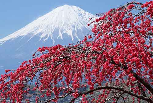 go.beasiswaindo.com/6906 Beasiswa FULL + Biaya Hidup dari Pemerintah Jepang (MONBUKAGAKUSHO) untuk Program Undergraduate (GAKUBU)