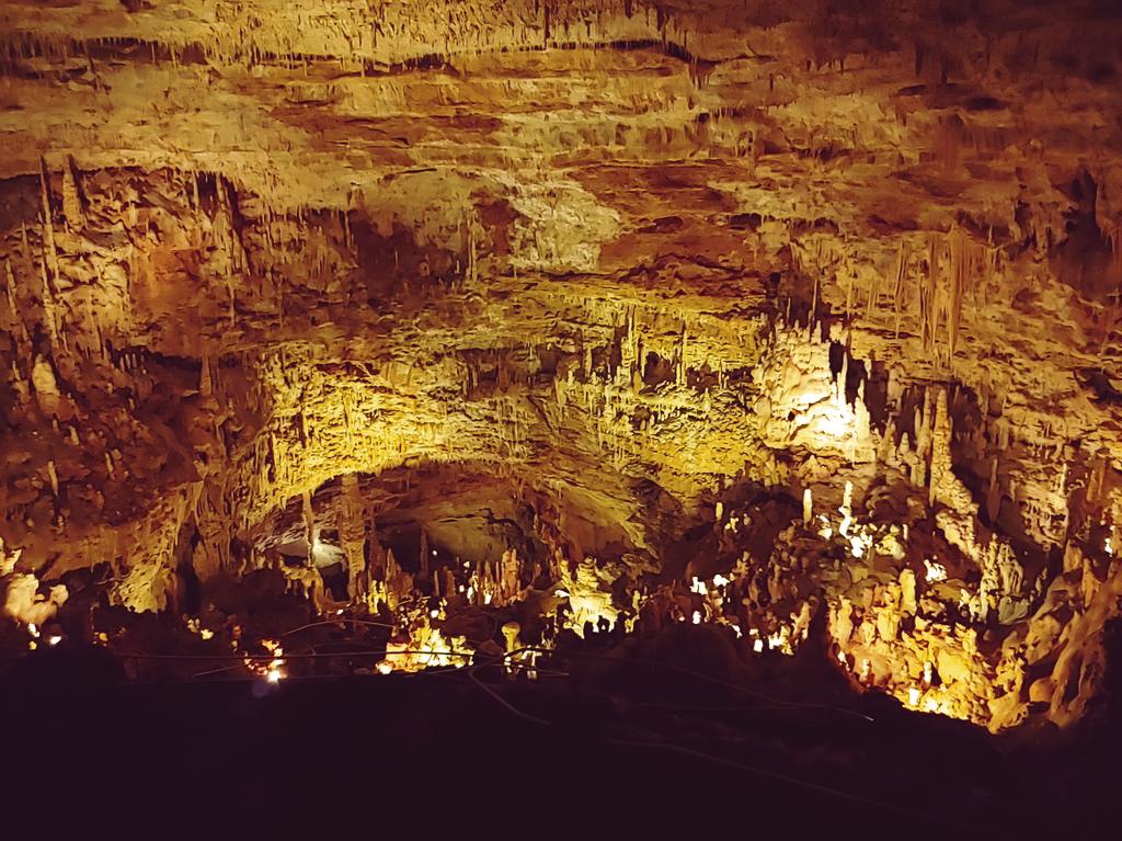 ghsmob's tweet photo. Spring Trip crew having a great time at natural bridge caverns! #ghsmob #springtrip2019 @BobBeshears1 @MightyOwlDS https://t.co/0vJHbuq5tw