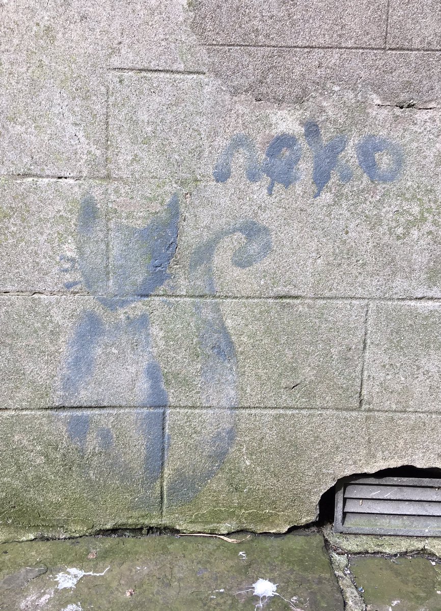 OrkneyGraffiti's tweet photo. #Graffiti Victoria Street, #Kirkwall, #Orkney 12.09.2016 and 18.04.2019 #neko https://t.co/zolYzG7Zn1