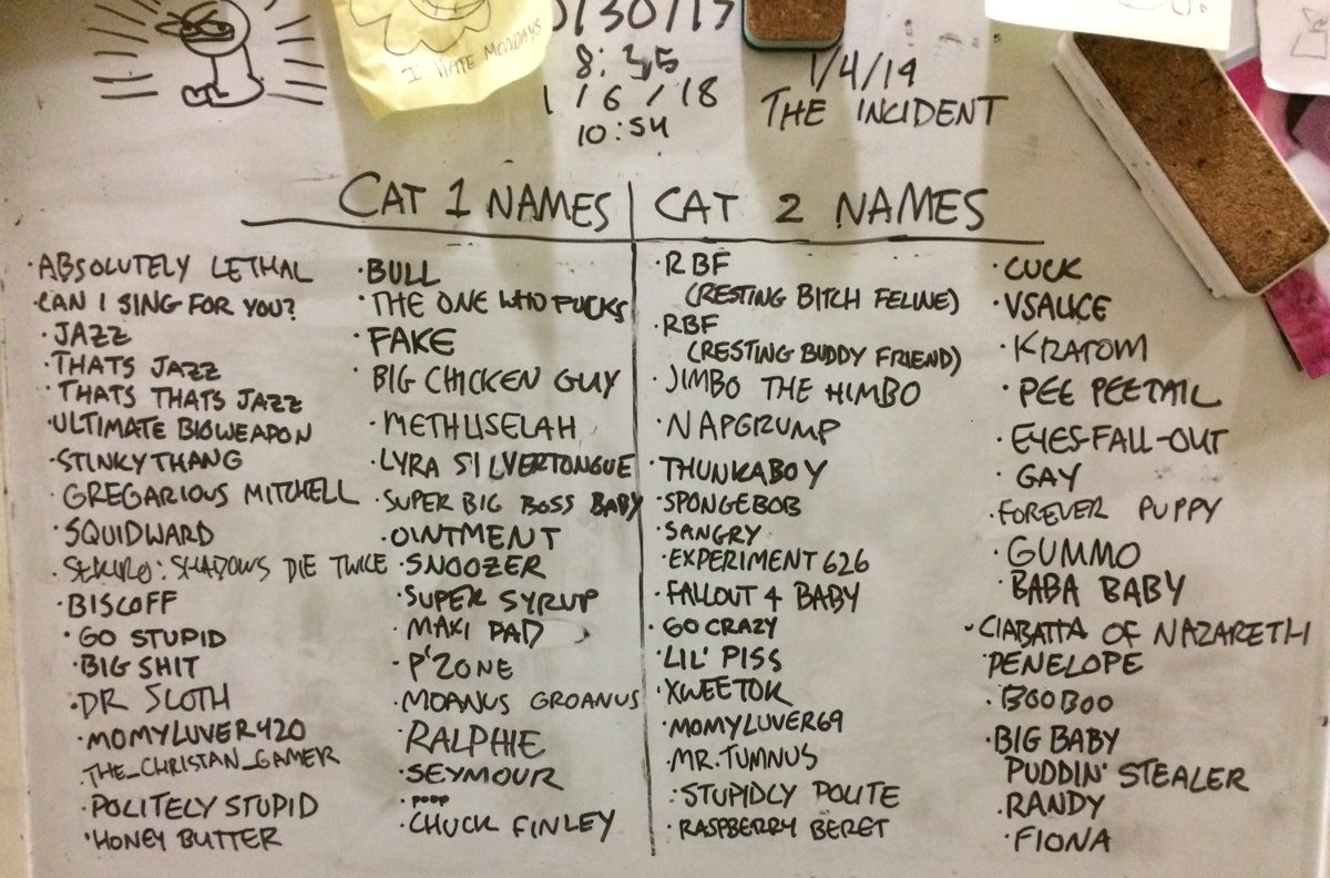 organic pesticide free cat names