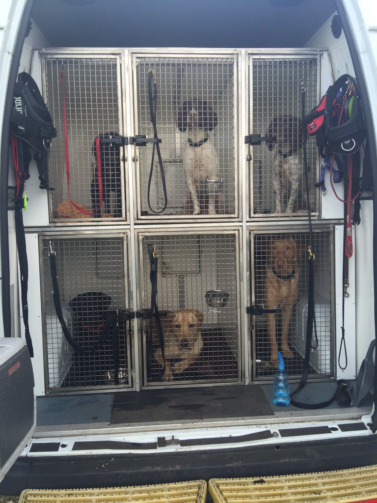 NobleProtection's tweet image. Todays team #explosivedetection #firearmsdetection #moderndayriskmanagement
#proactivesolution

nobleprotection.com