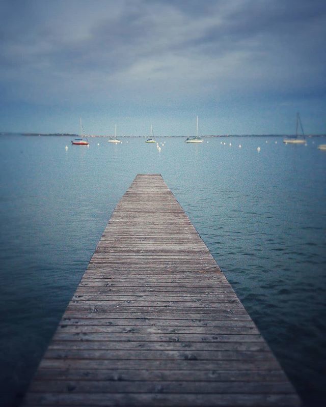 BindiMichele's tweet photo. Lago di Garda - Lake Garda (Italy)
#photooftheday  #photoofday  #photography #photographer  #foto #cool #amazing #TagsForLikes #beautiful #TFLers #fun #art #artist #best #bestoftheday #landscape #garda #lake #lagodigarda #lago #italy #art_bind #italia #s… https://t.co/HAsHVS7Iwf https://t.co/aEvn5arvUs